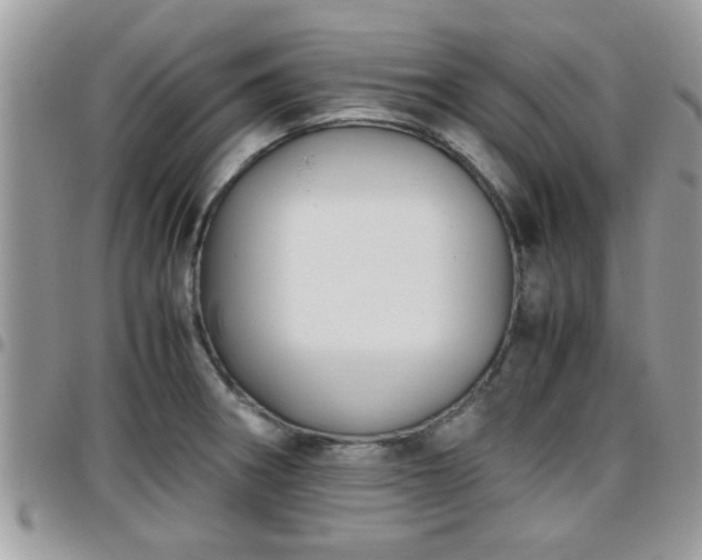 X0000095911282200801181348