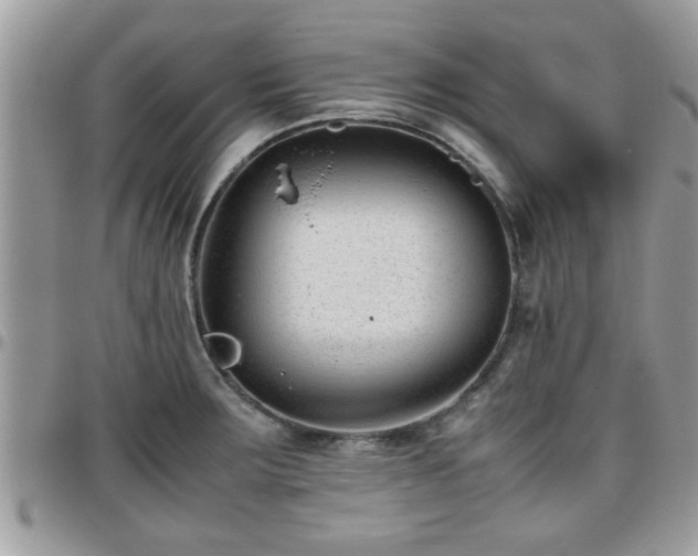 X0000095911283200801181348