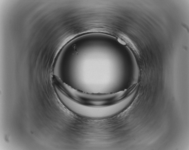 X0000095911284200801181348