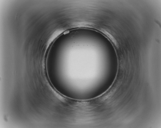 X0000095911285200801181348