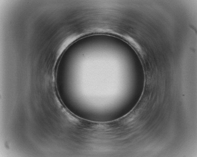 X0000095911287200801181348