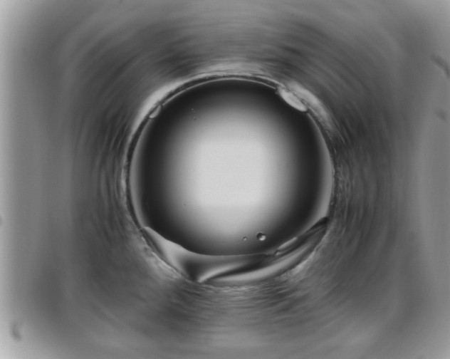 X0000095911288200801181347