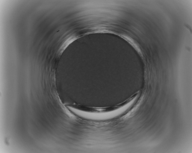 X0000095911289200801181347