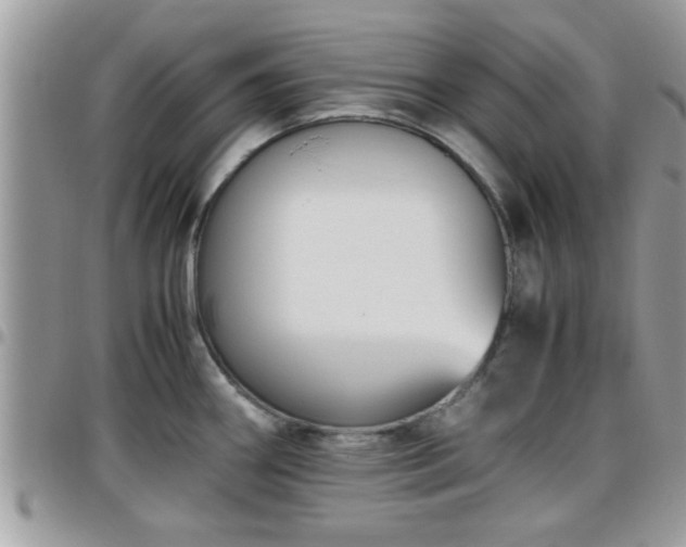 X0000095911290200801181347