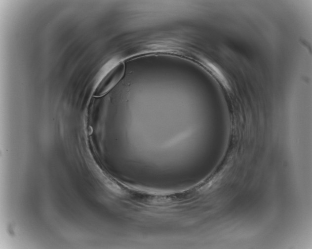 X0000095911291200801181347