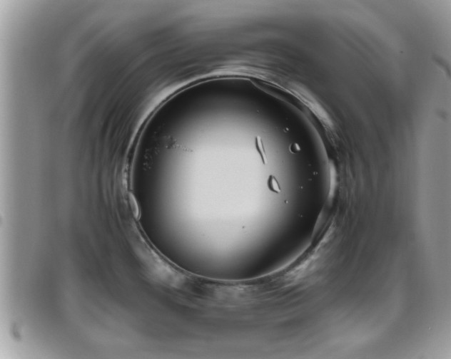 X0000095911292200801181347