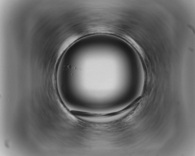 X0000095911293200801181347