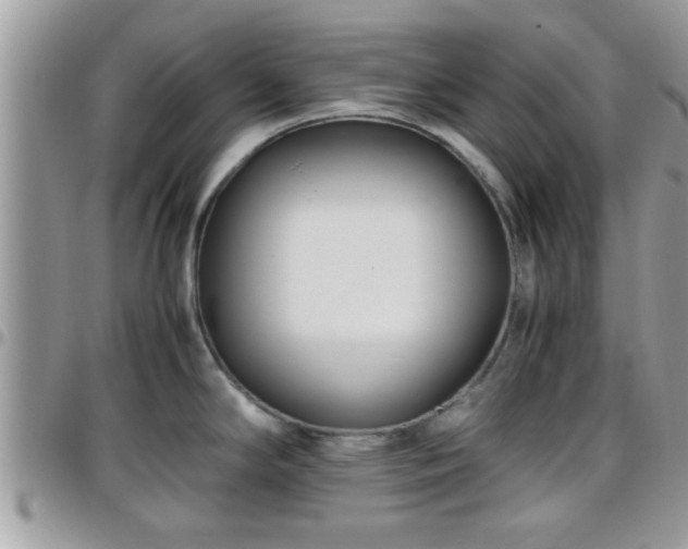 X0000095911294200801181347