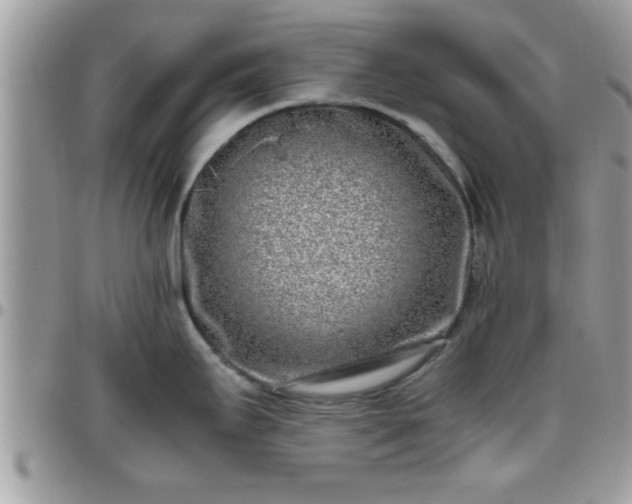 X0000095911295200801181347