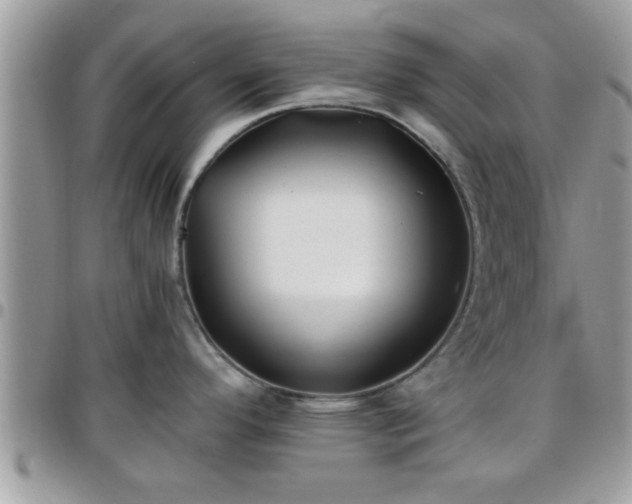 X0000095911296200801181347