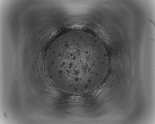 X0000095911297200801181347