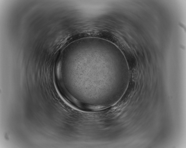 X0000095911298200801181347