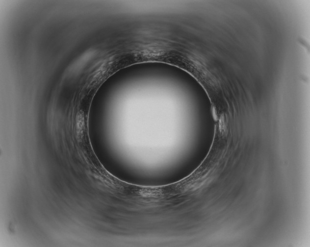 X0000095911299200801181347