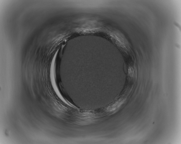 X0000095911300200801181347