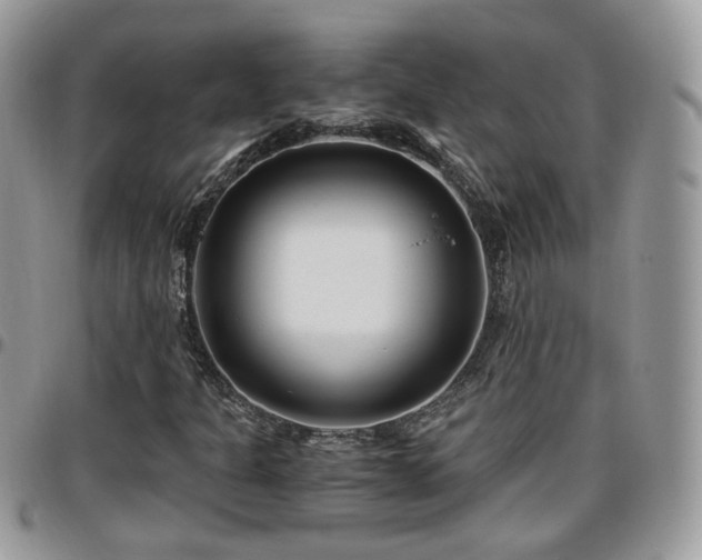 X0000095911301200801181347