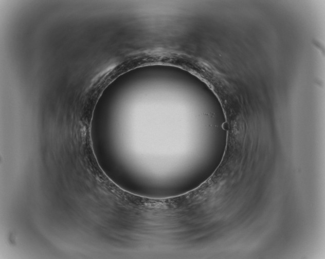 X0000095911302200801181347