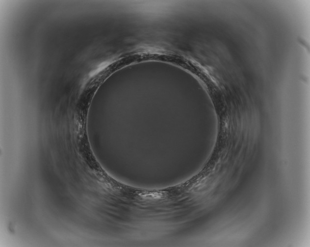 X0000095911303200801181347