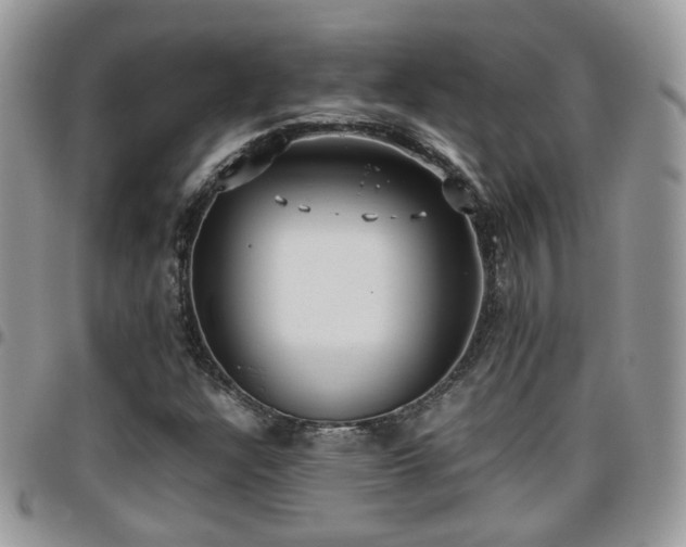 X0000095911304200801181347