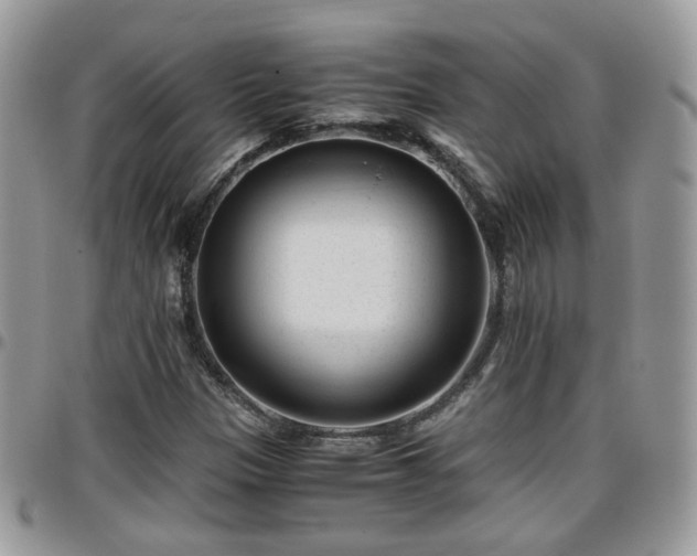 X0000095911305200801181347