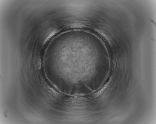 X0000095911306200801181347