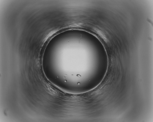 X0000095911308200801181347