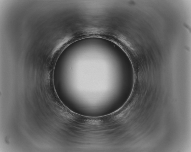 X0000095911309200801181347