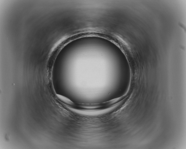 X0000095911310200801181347