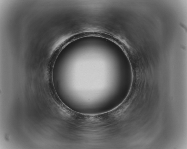 X0000095911311200801181347