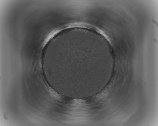 X0000095911312200801181347