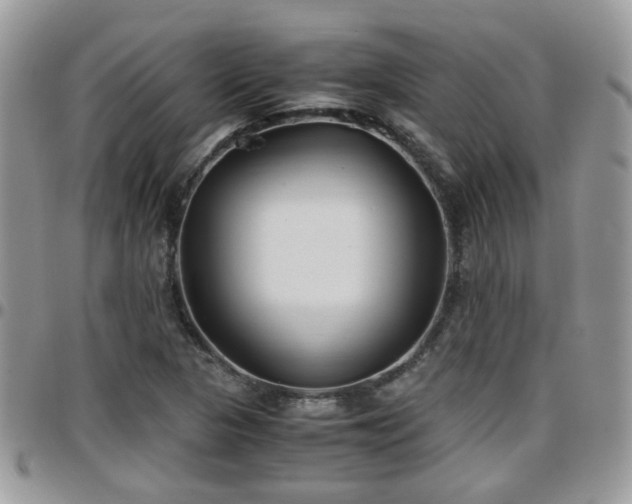 X0000095911313200801181347