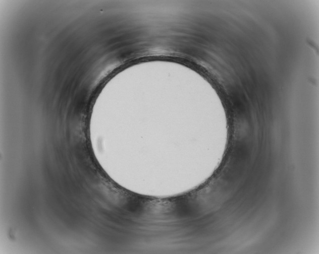 X0000095911314200801181347