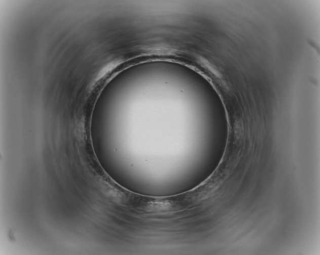 X0000095911315200801181347