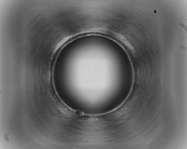 X0000095911316200801181347