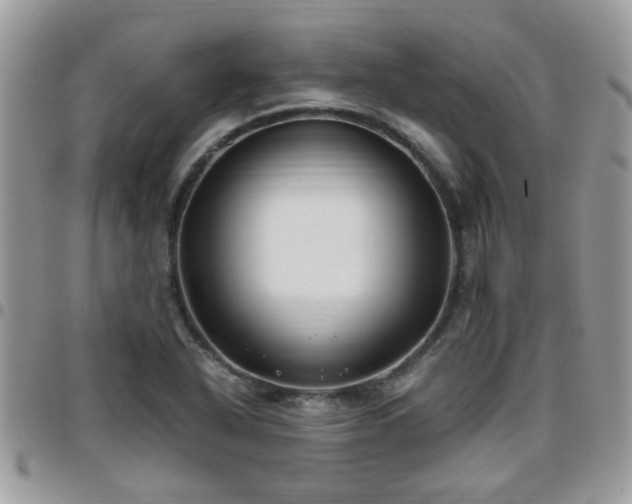 X0000095911318200801181347