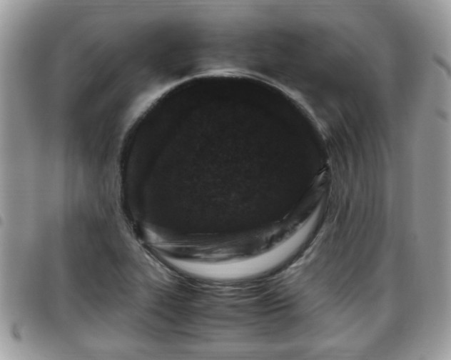 X0000095911319200801181347