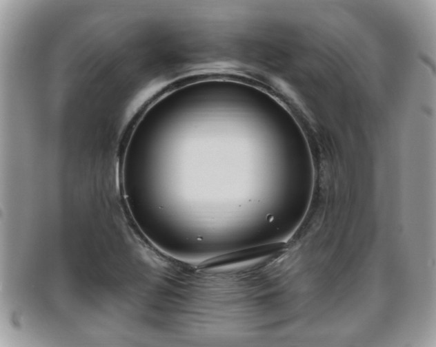 X0000095911320200801181347