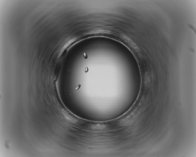 X0000095911321200801181347