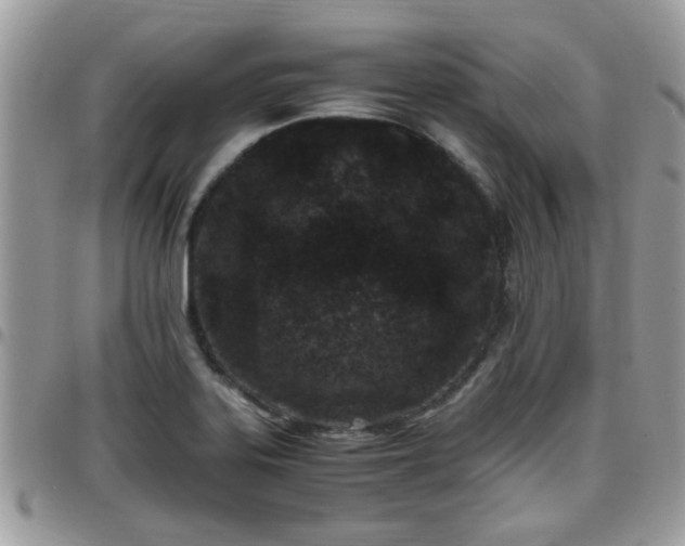 X0000095911323200801181347