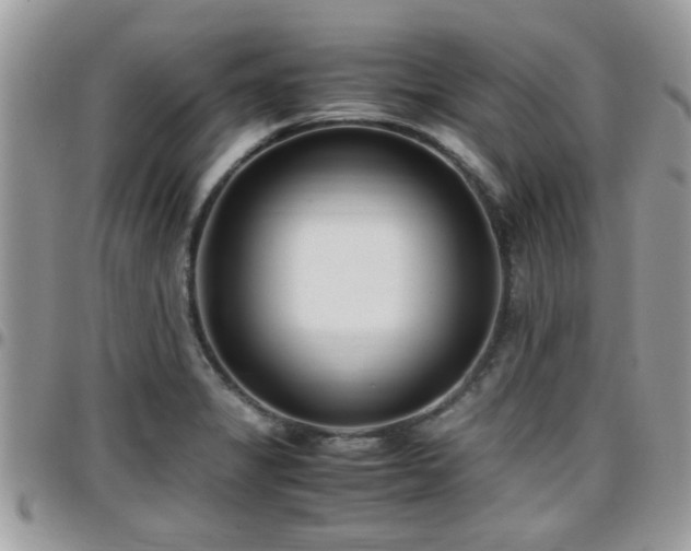 X0000095911325200801181347