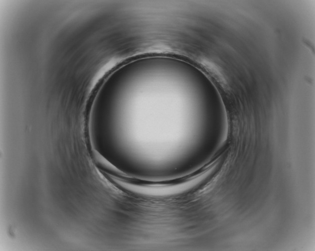 X0000095911326200801181347