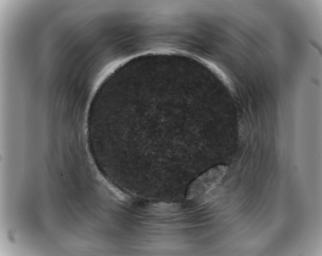 X0000095911327200801181347