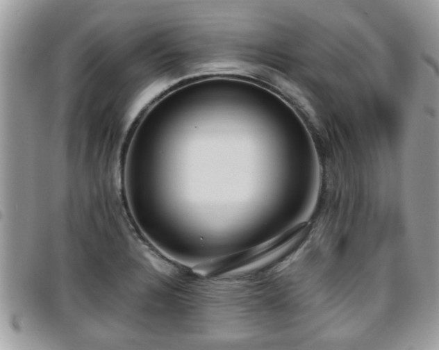 X0000095911328200801181347