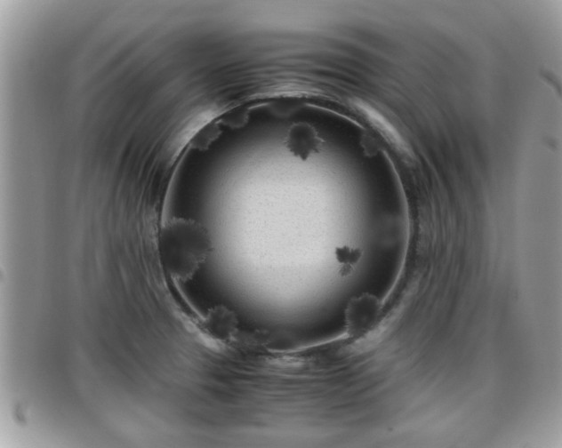 X0000095911329200801181347