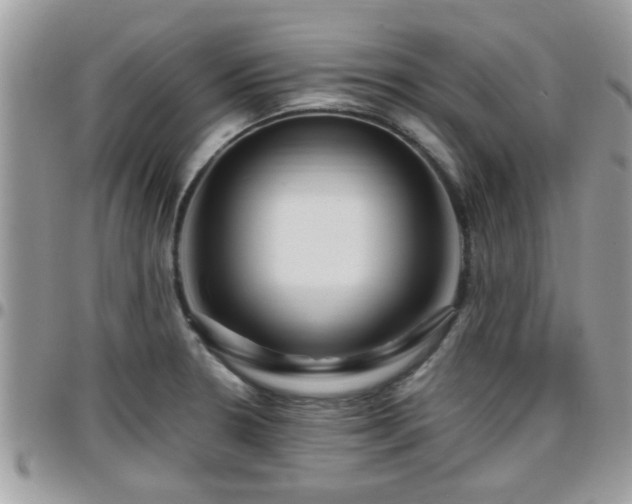 X0000095911330200801181347