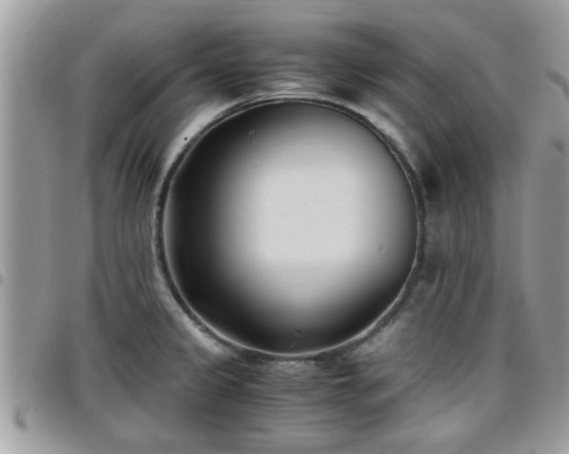 X0000095911333200801181347