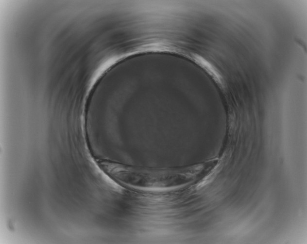 X0000095911334200801181347