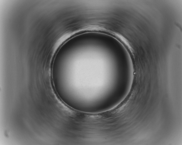 X0000095911335200801181347