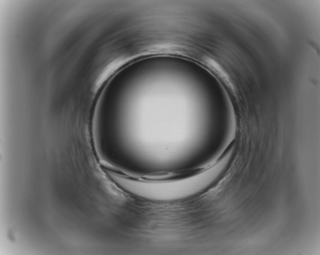 X0000095911336200801181347