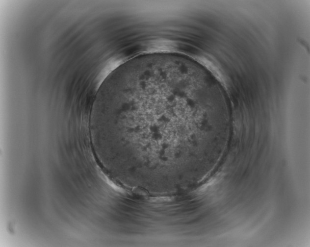 X0000095911337200801181347