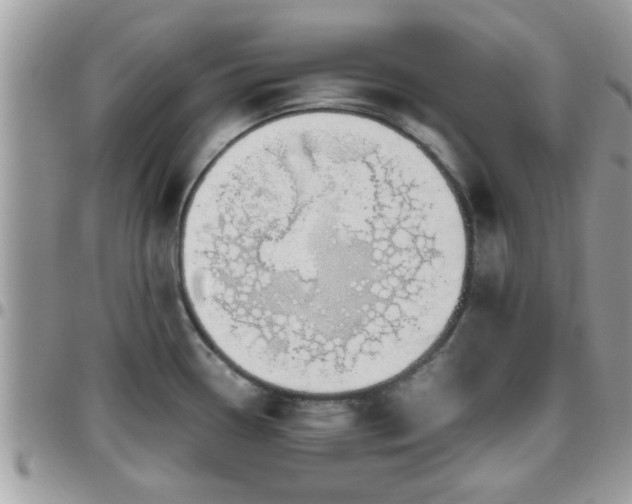 X0000095911338200801181347